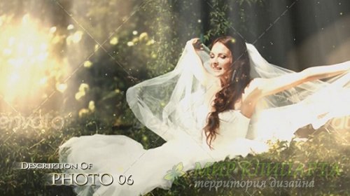 Проект - Golden Wedding - After Effects (Videohive)