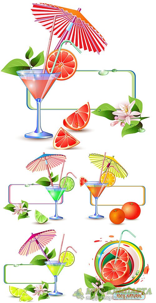 Свежие цитрусовые соки, напитки в векторе / Fresh citrus juices, drinks vector