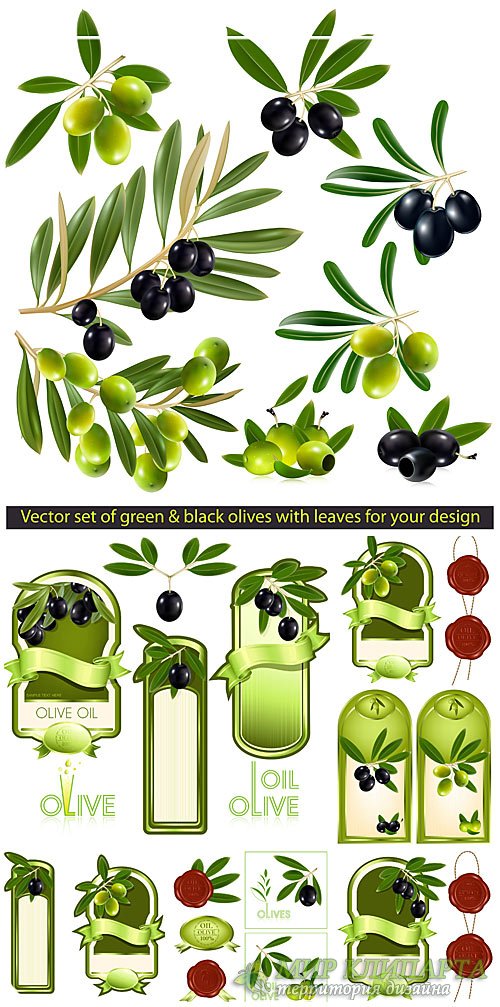 Оливки, этикетки в векторе / Olives, labels vector