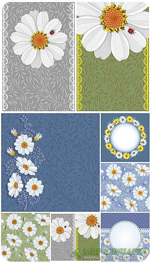 Ромашки, векторные цветочные фоны / Chamomile , vector floral backgrounds