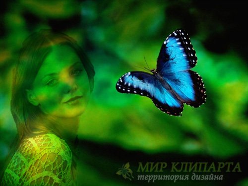  Рамка для фотомонтажа - Красивая бабочка 