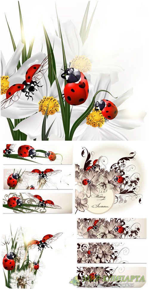 Цветы и божьи коровки, баннеры и фоны в векторе / Flowers and ladybugs, banners and backgrounds vector