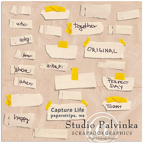 Скрап-набор - Capture Life