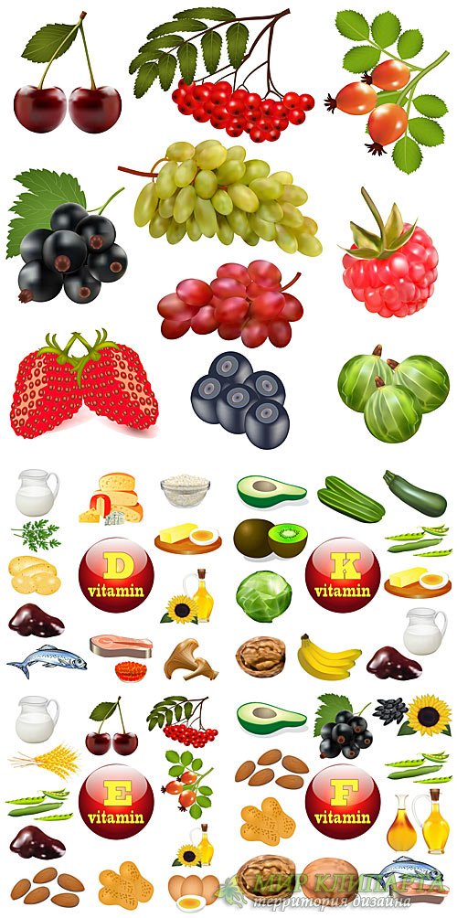 Продукты питания в векторе, фрукты, овощи / Food vector, fruits, vegetables