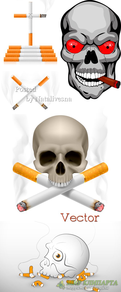 Сигареты и черепа  в  Векторе  