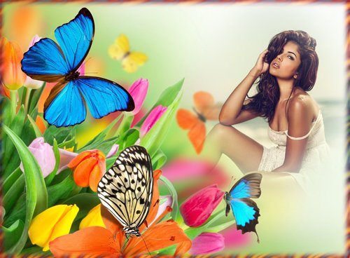 Рамка для фотографии - Тюльпаны и бабочки 