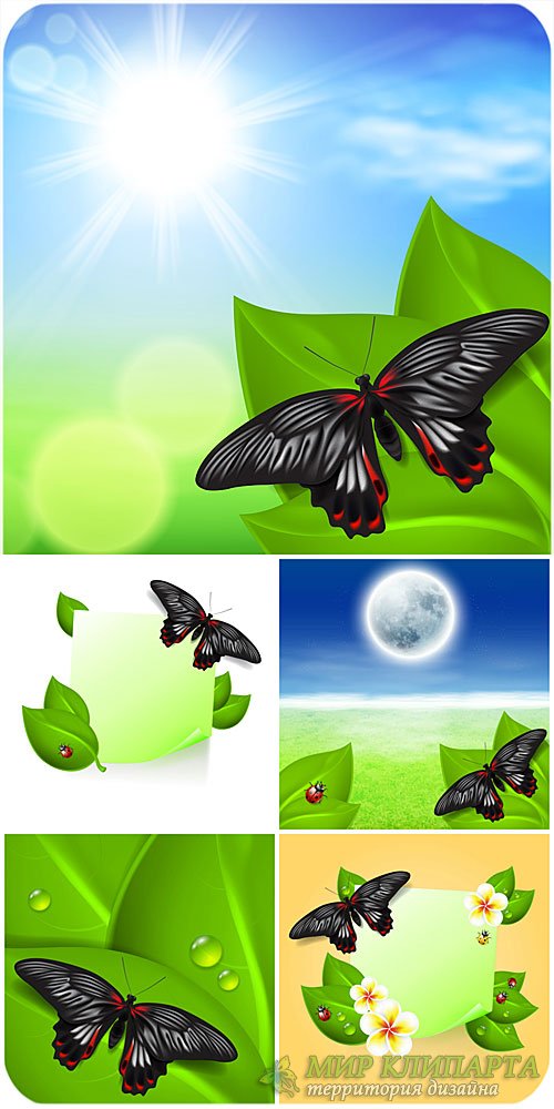 Природные векторные фоны с бабочками / Natural vector backgrounds with butterflies