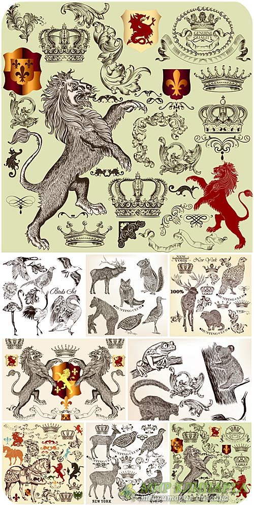 Животные, дизайнерские элементы в векторе / Animal, lion, bear, horse, design elements vector