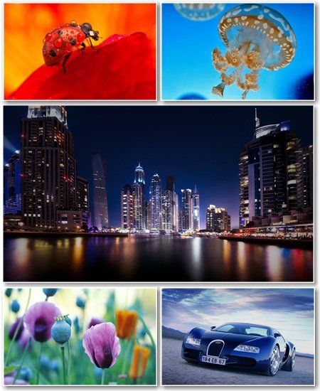 Best HD Wallpapers Pack №1256