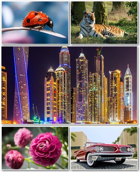 Best HD Wallpapers Pack №1266