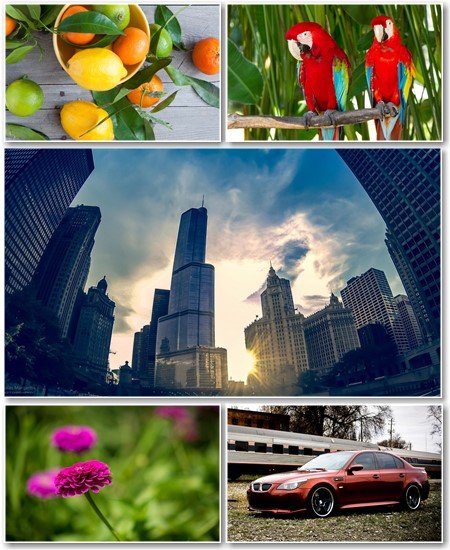 Best HD Wallpapers Pack №1272