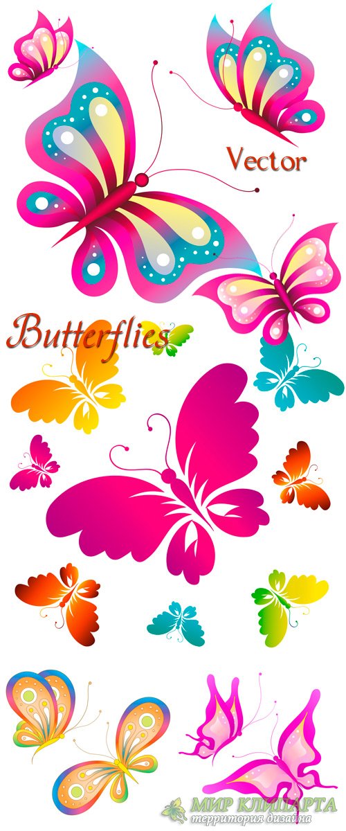 Разноцветные, красивые бабочки в векторе
