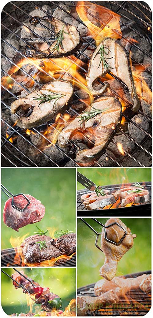 Мясо и рыба на гриле / Meat and fish on the grill - Stock photo