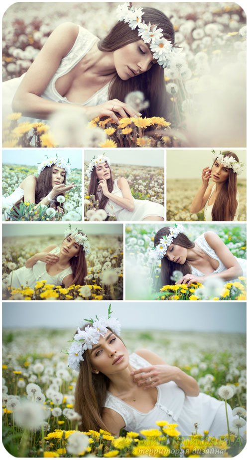 Девушка в поле с одуванчиками / Girl in a field with dandelions - Stock photo