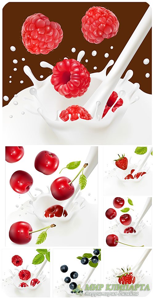 Ягоды в молоке, клубника, малина в векторе / Berries in milk, strawberries, raspberries vector