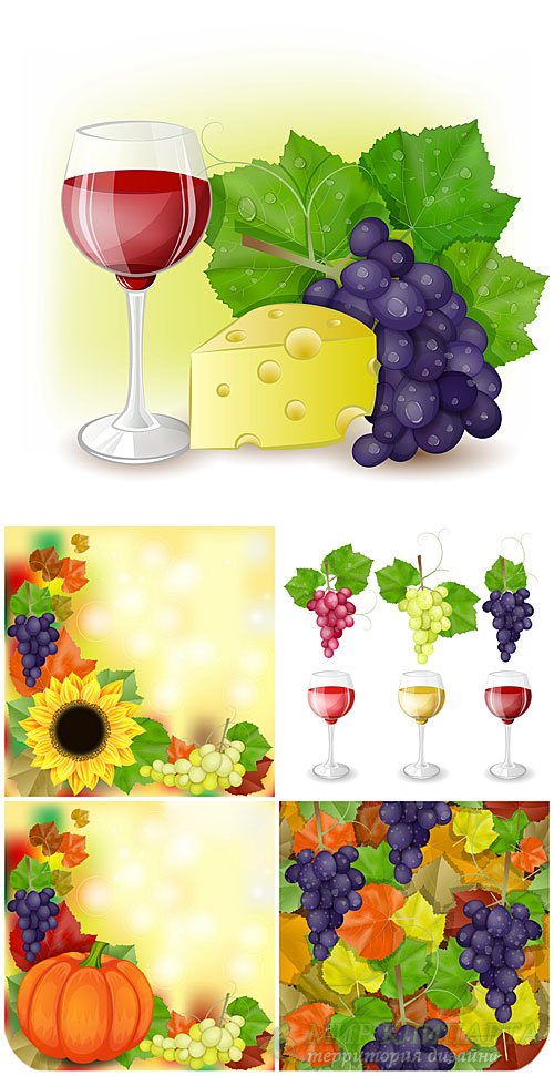 Вино и виноград, осенние векторные фоны / Wine and grapes, autumn vector backgrounds