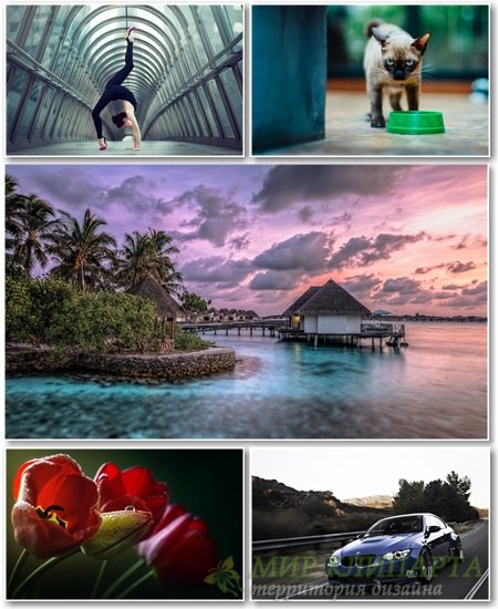 Best HD Wallpapers Pack №1302