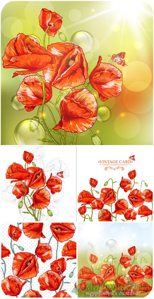 Векторные фоны с красными маками / Vector background with red poppies
