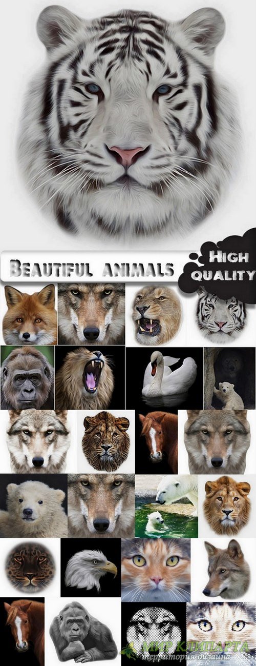 Beautiful animals in vector set from stock #4 - 25 Eps