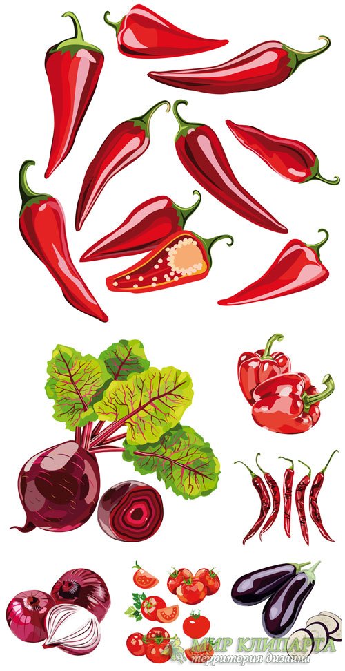 Овощи в векторе, перец, лук, томаты / Vector vegetables, peppers, onions, tomatoes