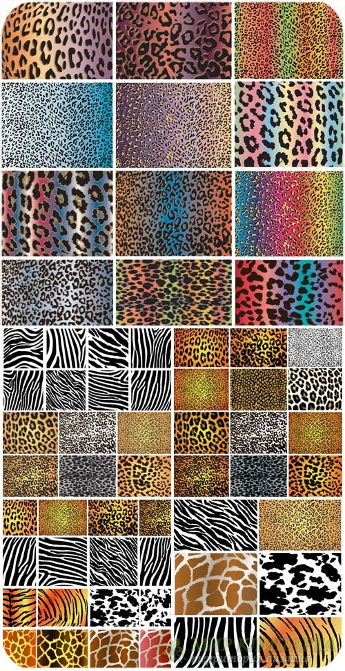 Леопардовые текстуры в векторе / Leopard texture vector