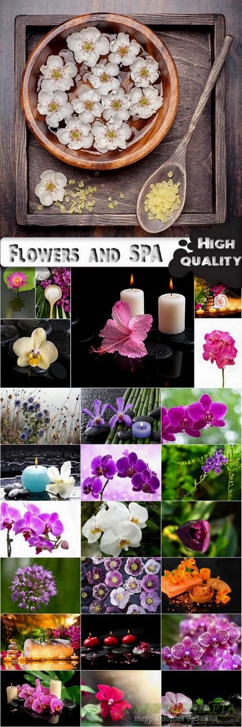 Flowers and SPA stock images - 25 HQ Jpg