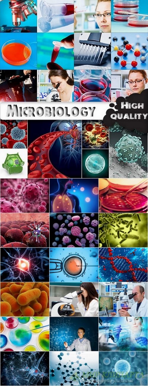 Microbiology stock images - 25 HQ Jpg