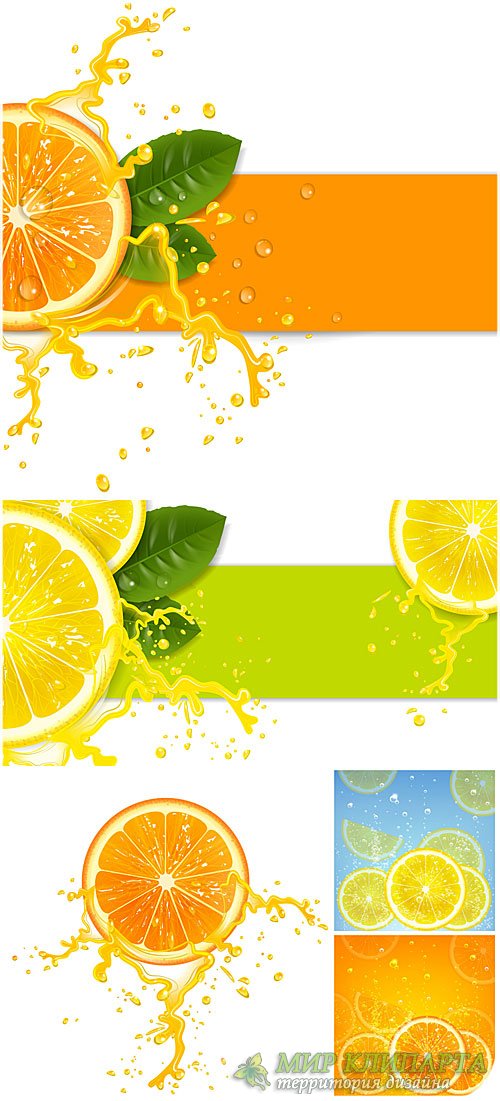 Апельсин и лимон, векторные фоны / Orange and lemon, vector backgrounds