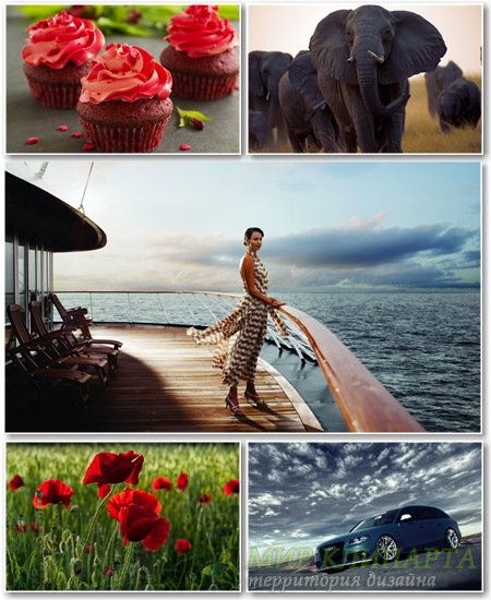 Best HD Wallpapers Pack №1321