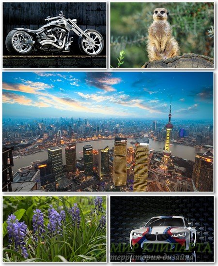 Best HD Wallpapers Pack №1325