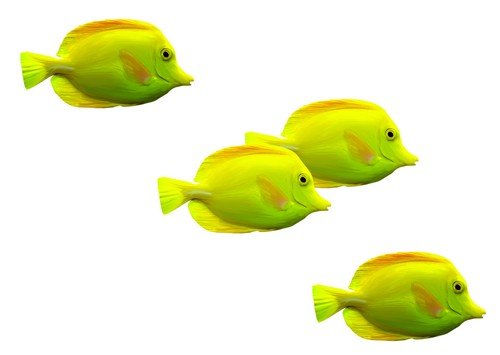 Рыбки на прозрачном фоне