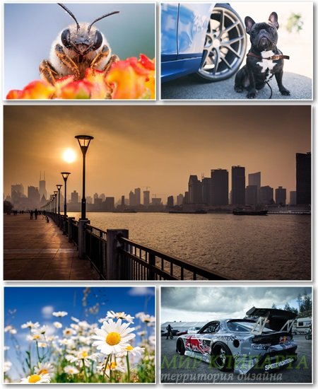 Best HD Wallpapers Pack №1328