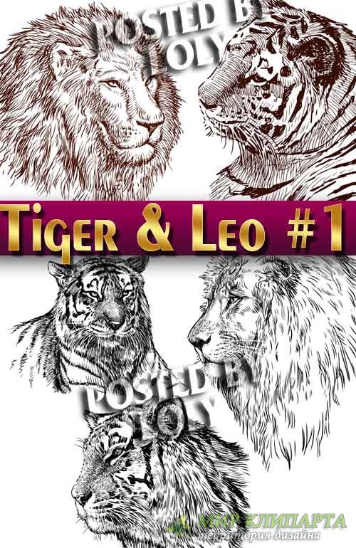 Тигр и Лев #1 - Векторный клипарт