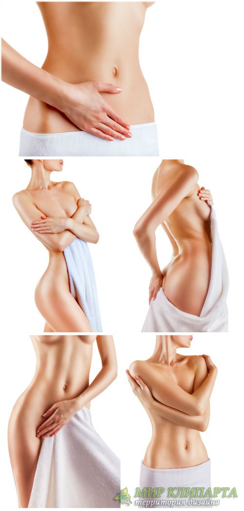 Красивое женское тело, уход за телом / Beautiful female body, body care - Stock photo