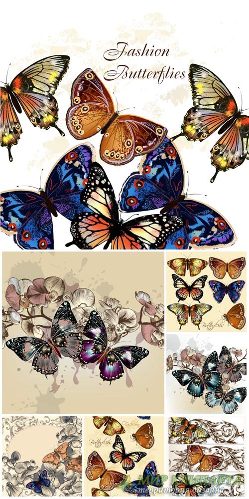 Бабочки, векторные фоны с узорами / Butterflies, vector backgrounds with patterns