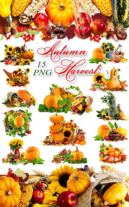 Осенний урожай - Композиции с тыквой на прозрачном фоне / Autumn Harvest