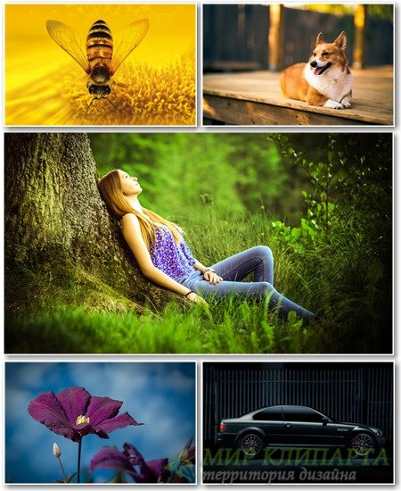 Best HD Wallpapers Pack №1354