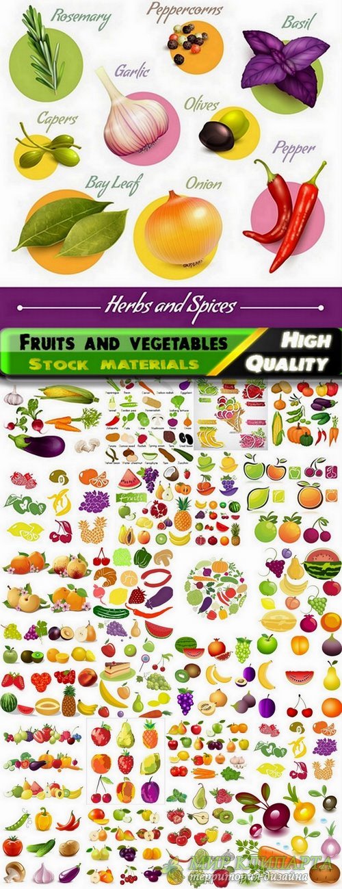 Illustration of beautiful fruits and vegetables in vector from stock - 25 Eps