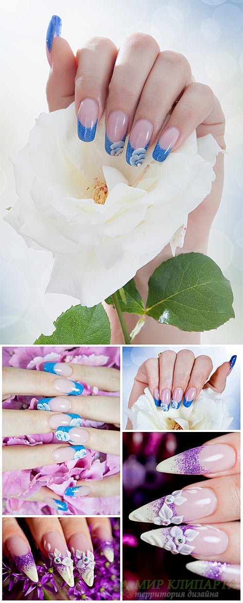 Красивый маникюр, женские руки, розы / Beautiful manicured, female hands, roses - Stock Photo