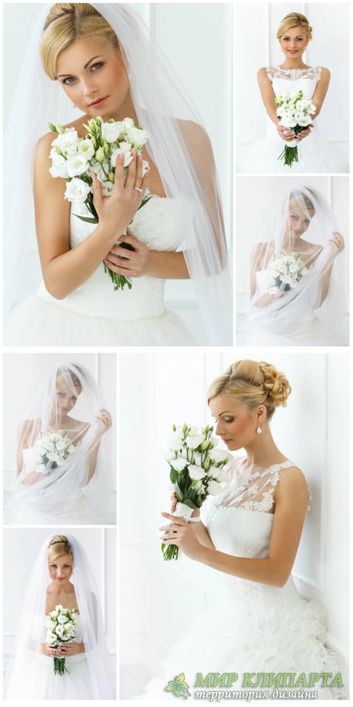 Невеста с букетом белых цветов / Bride with a bouquet of white flowers - Stock Photo