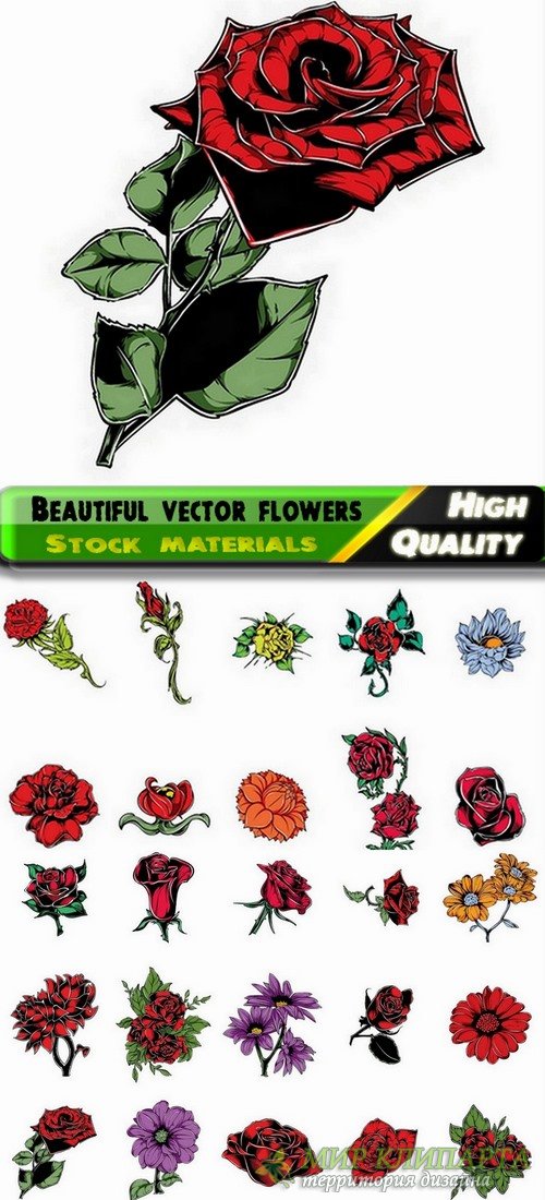 Beautiful vector flowers from stock - 25 Eps