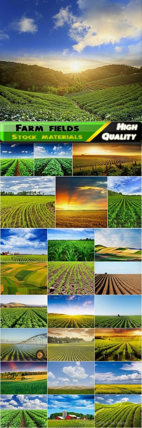 Farm fields and beautiful landscapes Stock images - 25 HQ Jpg