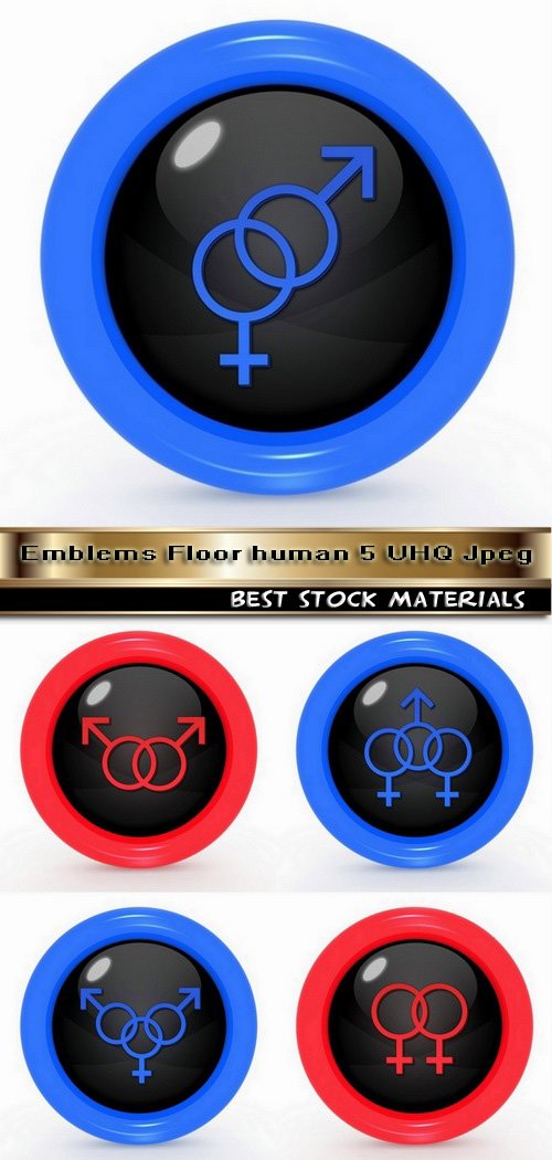 Emblems Floor human 5 UHQ Jpeg