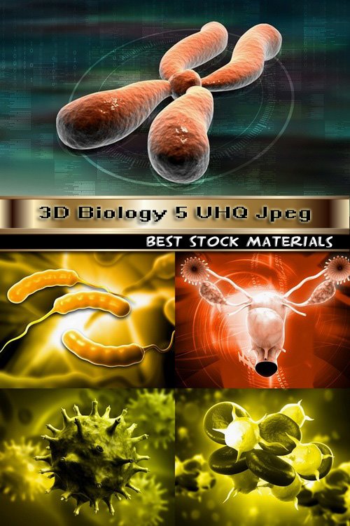 3D Biology 5 UHQ Jpeg
