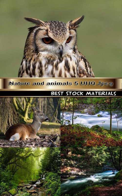 Nature and animals 5 UHQ Jpeg