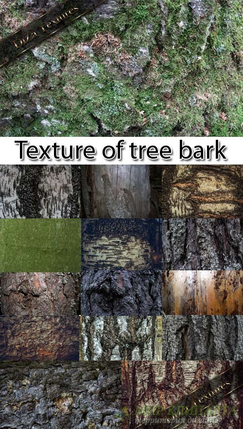 Текстуры коры деревьев
