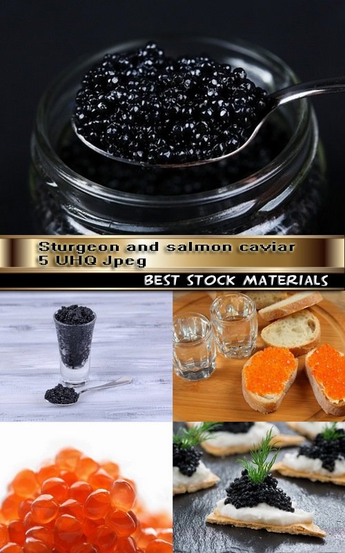 Sturgeon and salmon caviar 5 UHQ Jpeg