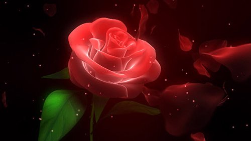 Свадебный футаж - Роза для Тебя