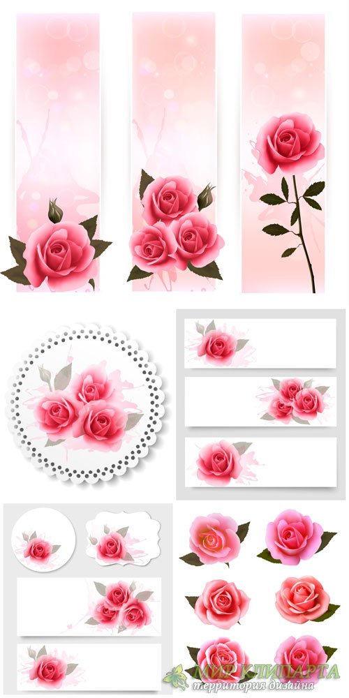 Розы, этикетки и баннеры в векторе / Roses, labels and banners vector