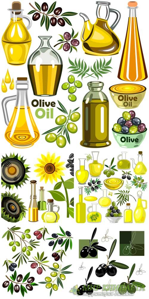 Оливки, оливковое масло в векторе / Olives, olive oil vector